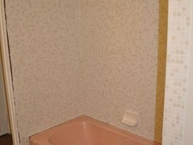 GuestBath_2741.jpg