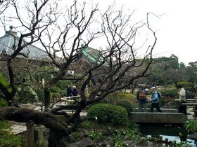 Kamakura-Hasedera-05.jpg