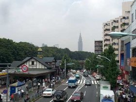 meiji-jingu7.jpg