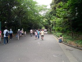 ueno8.jpg